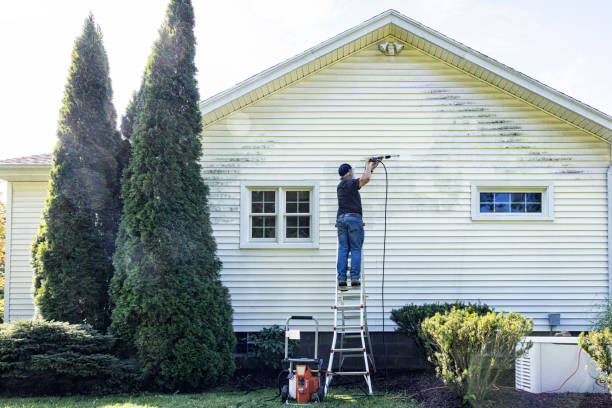 Best Affordable Pressure Washing  in Steubenville, OH